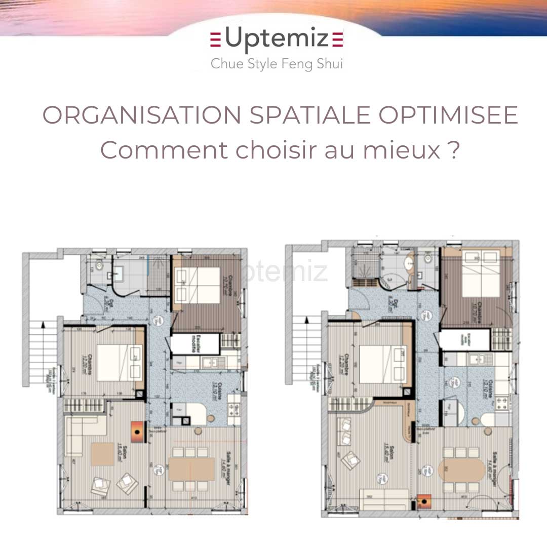 expertise-janvier