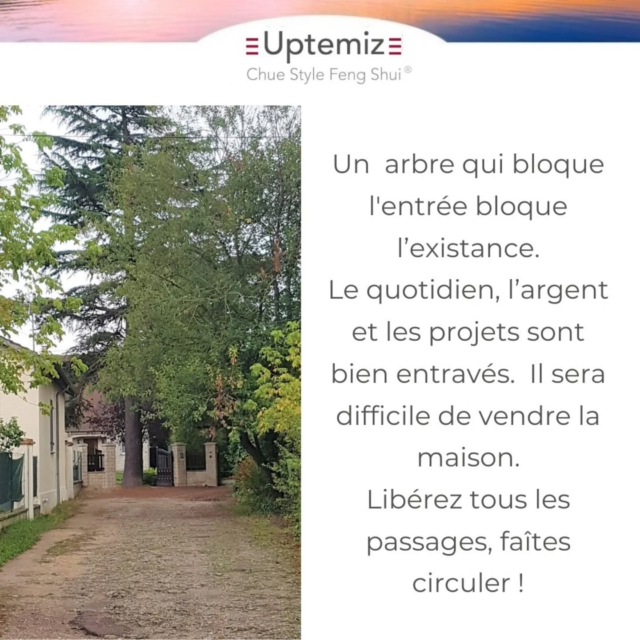 Parfois la vente de la maison se fait attendre ? D'abord retirer ou réduire la végétation qui bloque l'entrée si c'est possible, puis retirer le bien de la vente pour le remettre à une date calculée. C'est une date qui apportera l'énergie juste pour la vente :  le bon moment au bon endroit.Les événements de vie sont influencés par l'environnement et les configurations cosmiques. Le Feng Shui les réunit pour atteindre nos objectifs de vie. Tant que nous considérons notre force humaine comme seule influence sur ce qui nous arrive, nous nous privons de deux autres forces naturelles qui ne demandent qu'à aider !