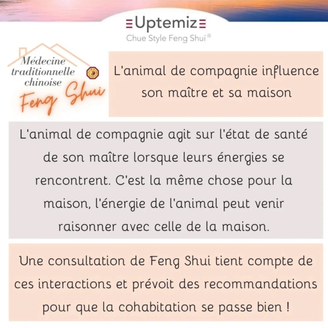 Quand un animal de compagnie rentre dans votre vie son énergie rencontre la vôtre. Parfois c'est un cocktail fabuleux pour réhausser votre vitalité et votre santé ! Vous pouvez me consulter avant d'adopter votre futur compagnon. Chiens, chats, cheval, poules, lapins et bien d'autres peuvent sauver des situations de vie et bien sûr sous condition d'une configuration confortable et pérenne pour l'animal.